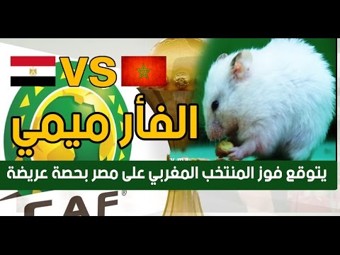 شاهد ميمي يتوقع فوز المنتخب المغربي على مصر