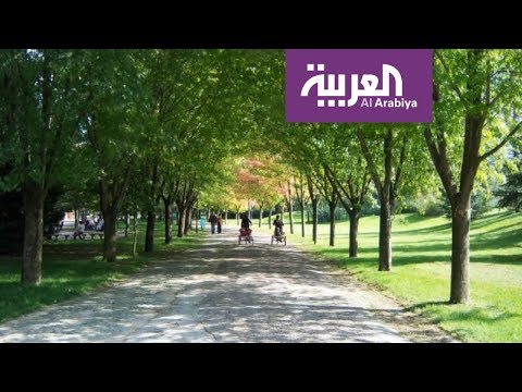 معالم الرياض آرت أبرز مشروعات الرياض العملاقة