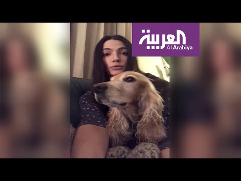 شاهد نجوم مصر يطلقون حملة دفاعا عن الحيوانات الأليفة ضد كورونا