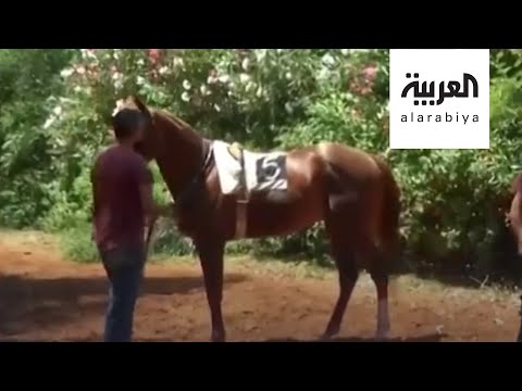 شاهد سباق الخيل في بيروت يعود للعمل بلا حماسة