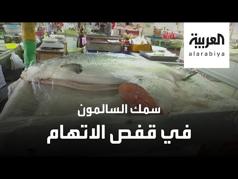 هل سمك السلمون بريء من تهمة عودة كورونا