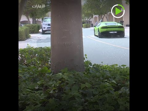 شاهد سوبر ماركت في دبي يُقدم خدمة فريدة من نوعها