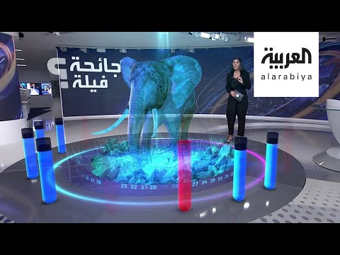 شاهد  أميركا اللاتينية ومنطقة الكاريبي تُسجل أكثر من 50 من إصابات كورونا